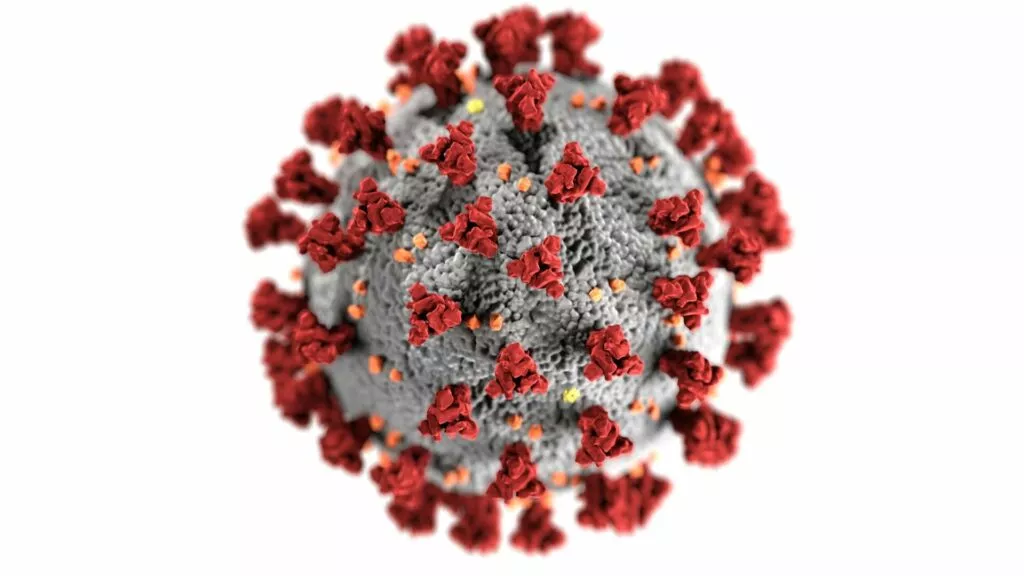 Abbildung Covid Virus